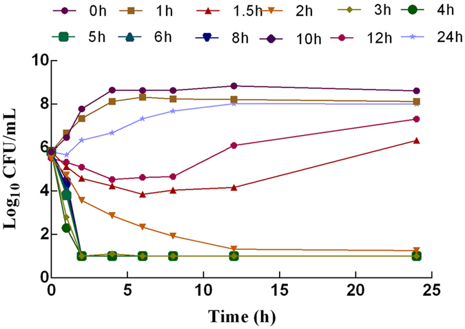 Figure 4