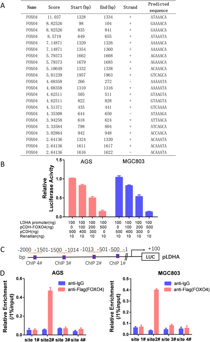 FIGURE 4