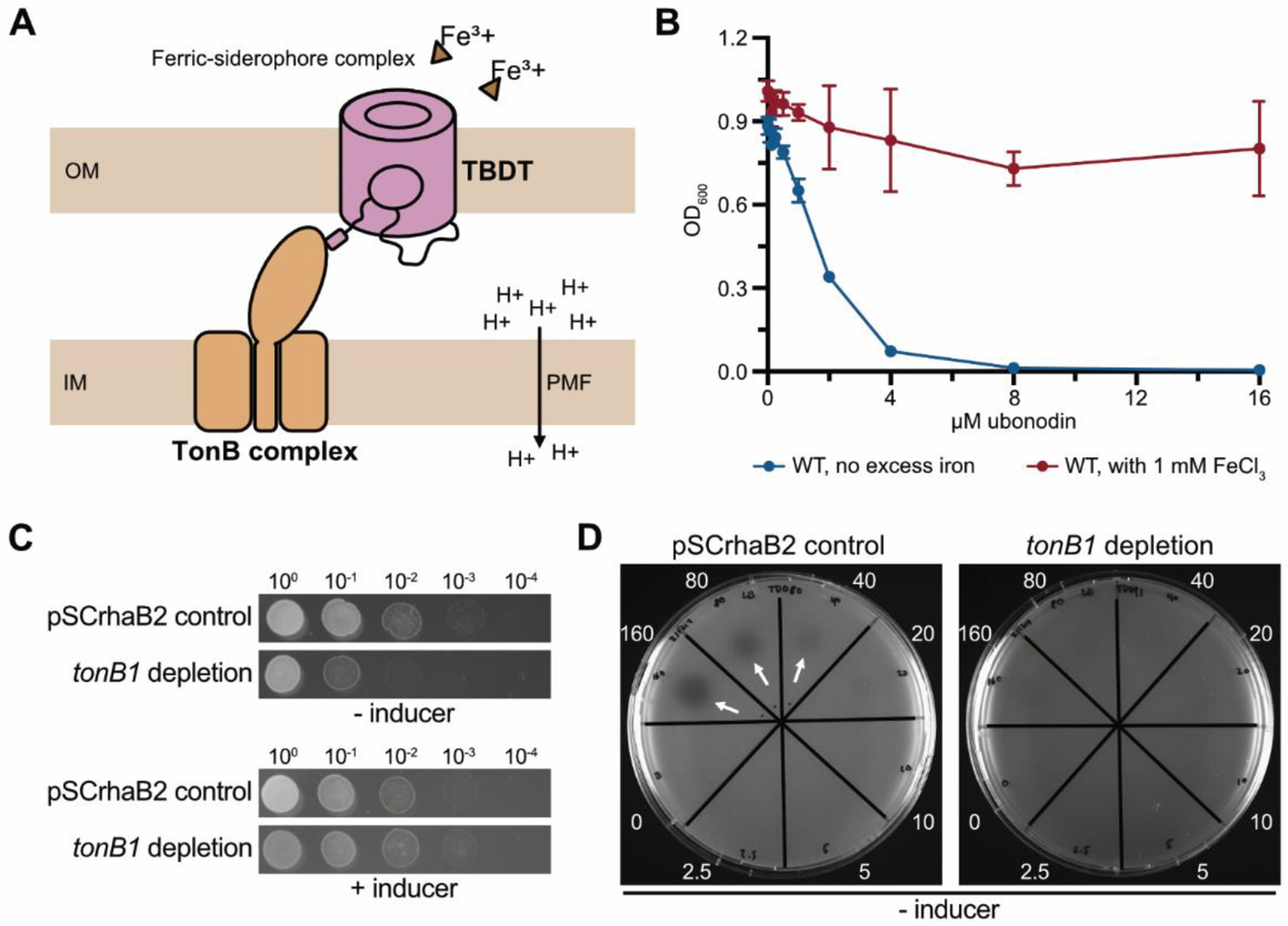 Figure 2.