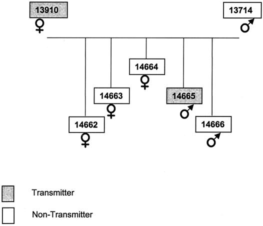 FIG. 1.