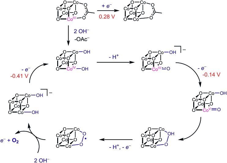 Scheme 3