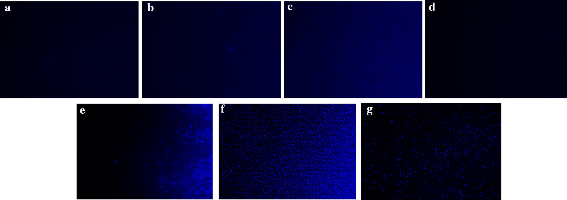 Fig. 6