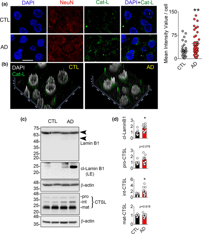 FIGURE 3