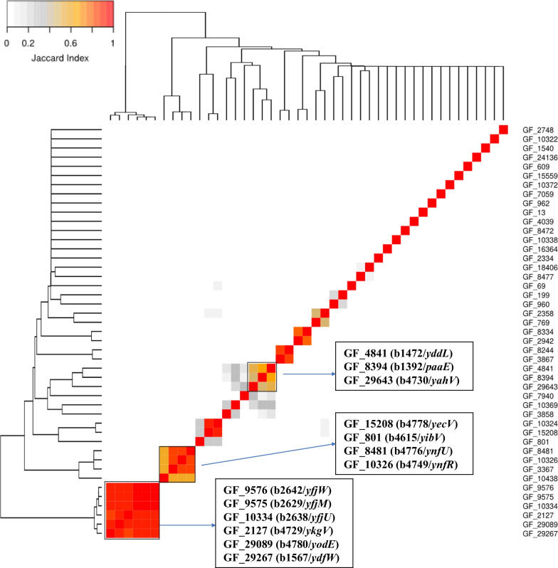 Fig. 4