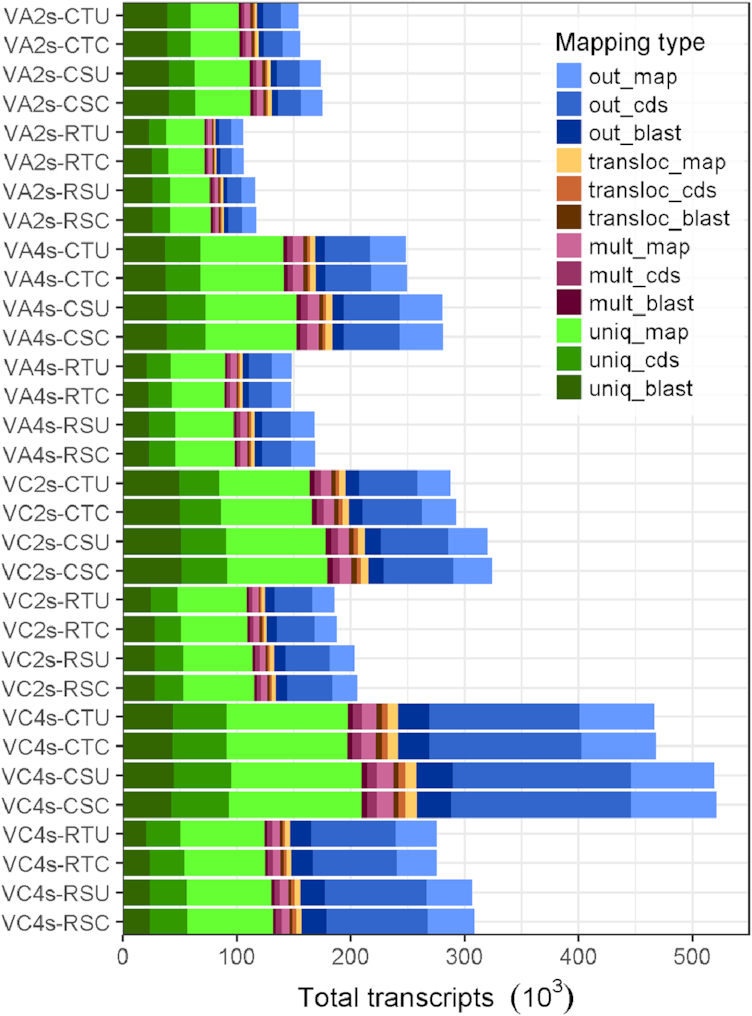 Figure 4: