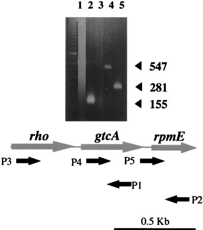 FIG. 5