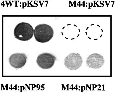 FIG. 6