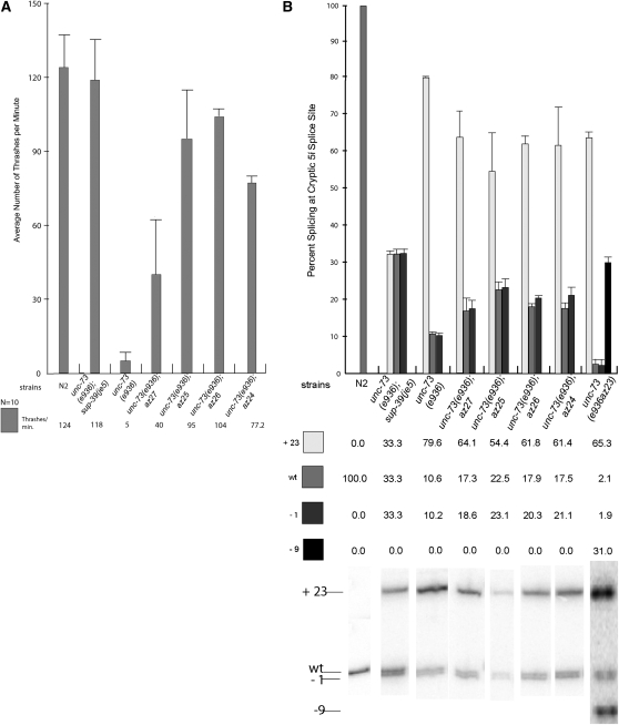 Figure 2.—