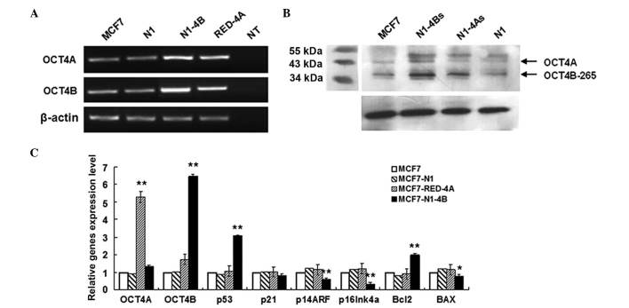 Figure 4.