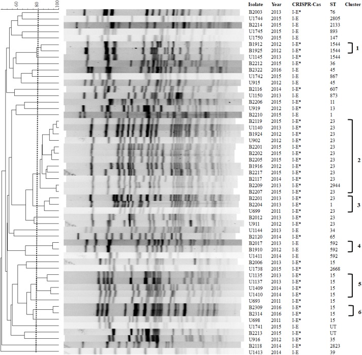 FIGURE 2