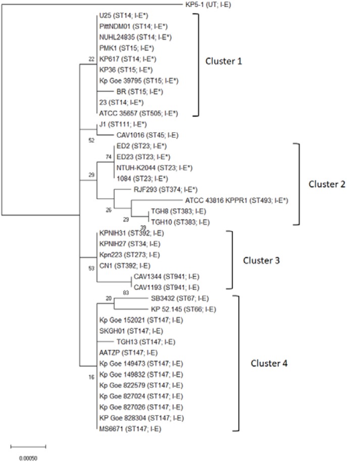 FIGURE 1