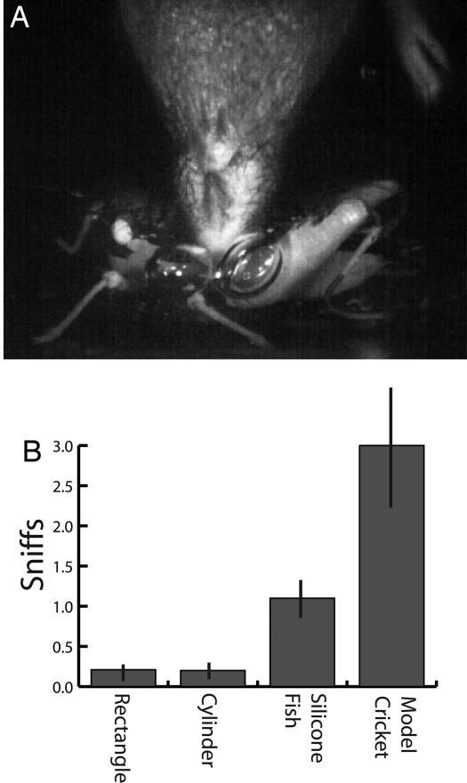 Fig. 5.