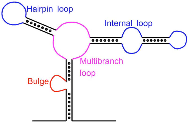 FIG. 1