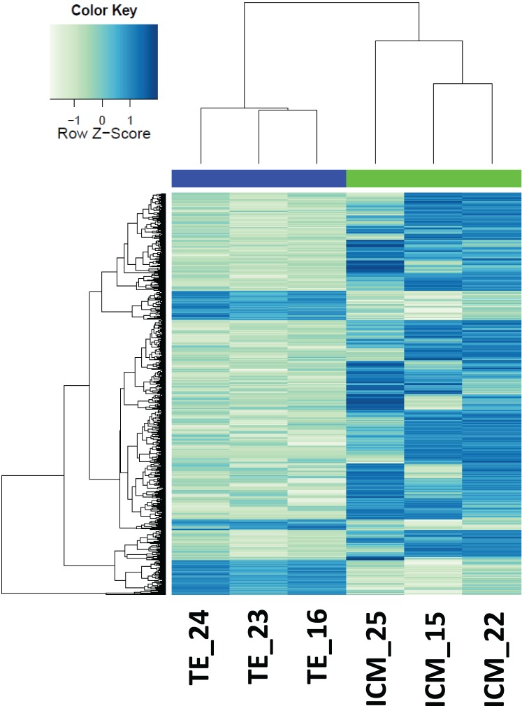 FIG. 3