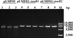 FIG 6