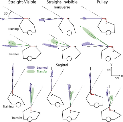 Figure 2