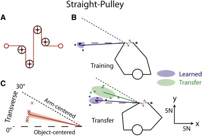 Figure 5