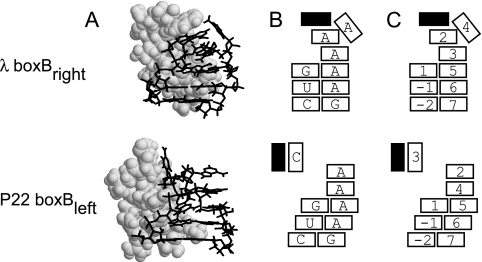 FIG. 2.