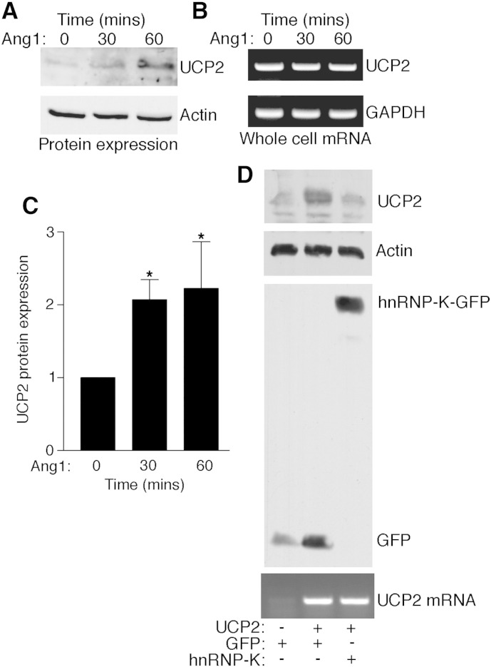 Fig. 4