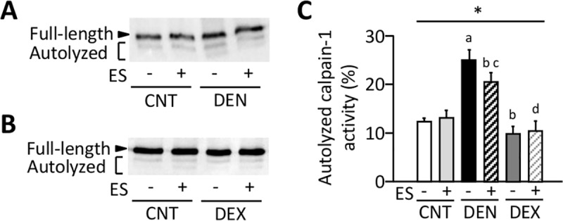 Fig 7