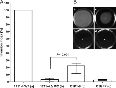 FIG. 2.