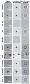 Fig. 2