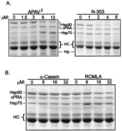 FIG. 7