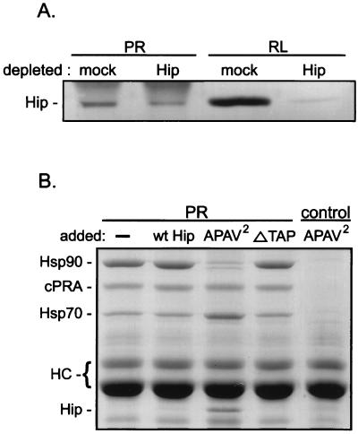 FIG. 6