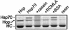 FIG. 9