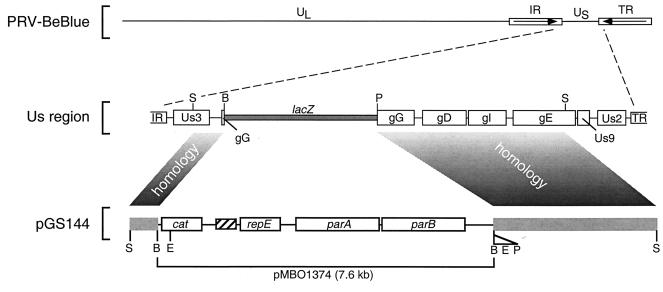 FIG. 1