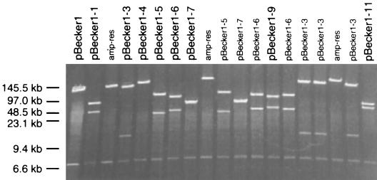 FIG. 6