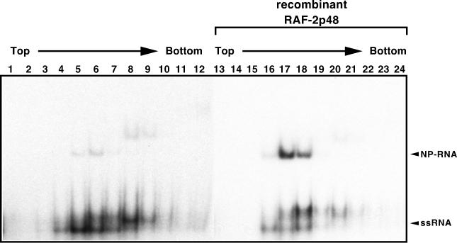 FIG. 7