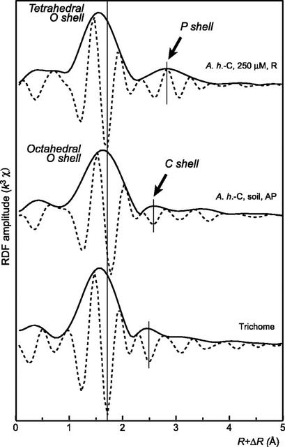 Figure 8