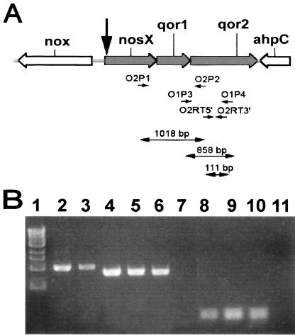 FIG. 5.