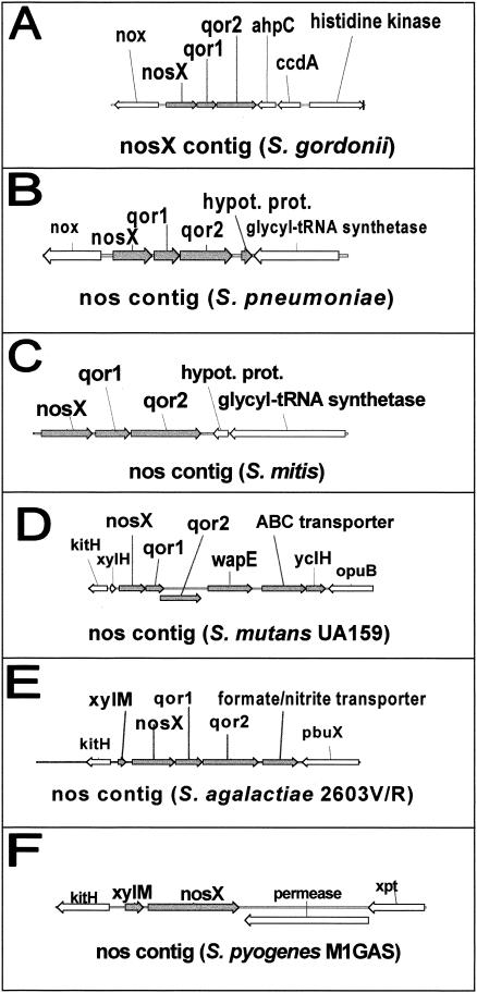 FIG. 4.