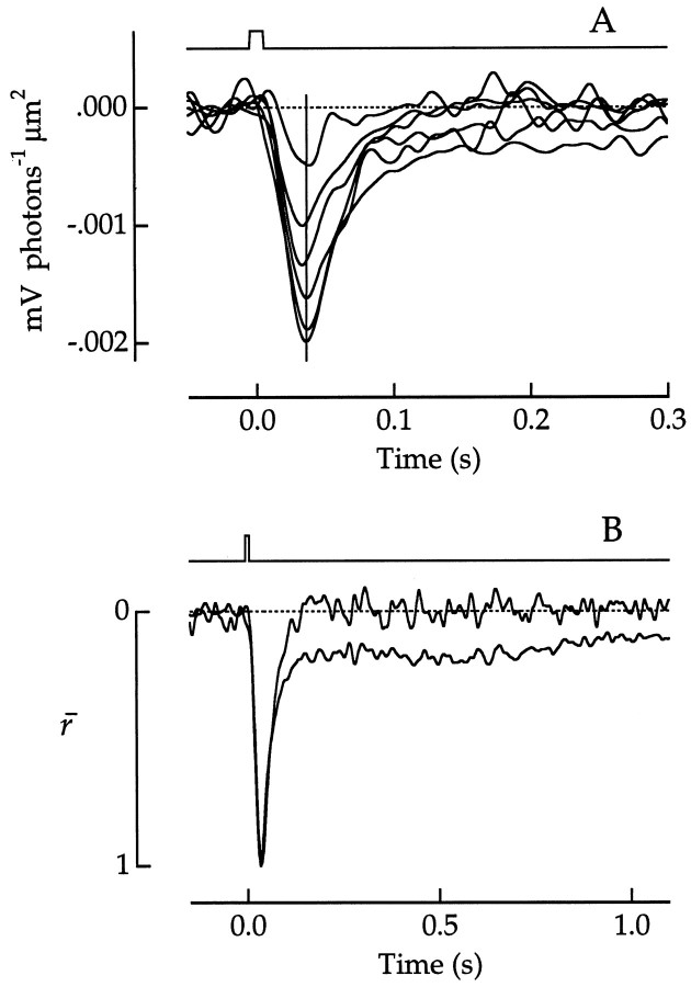 Fig. 12.