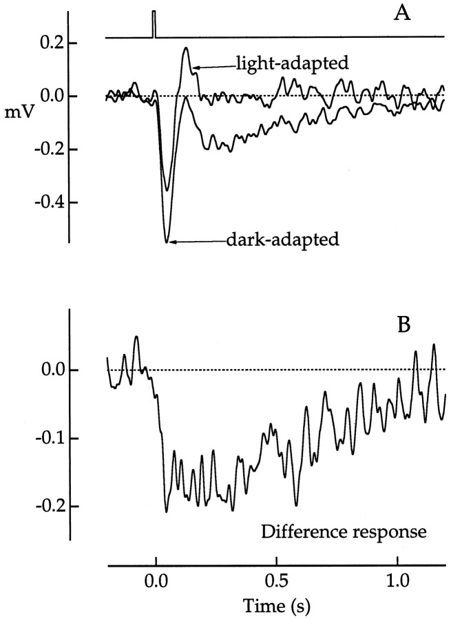 Fig. 9.