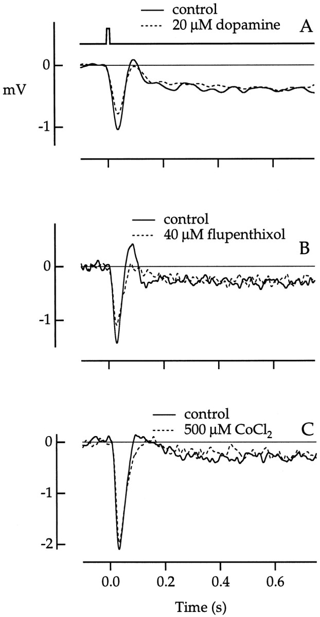 Fig. 11.