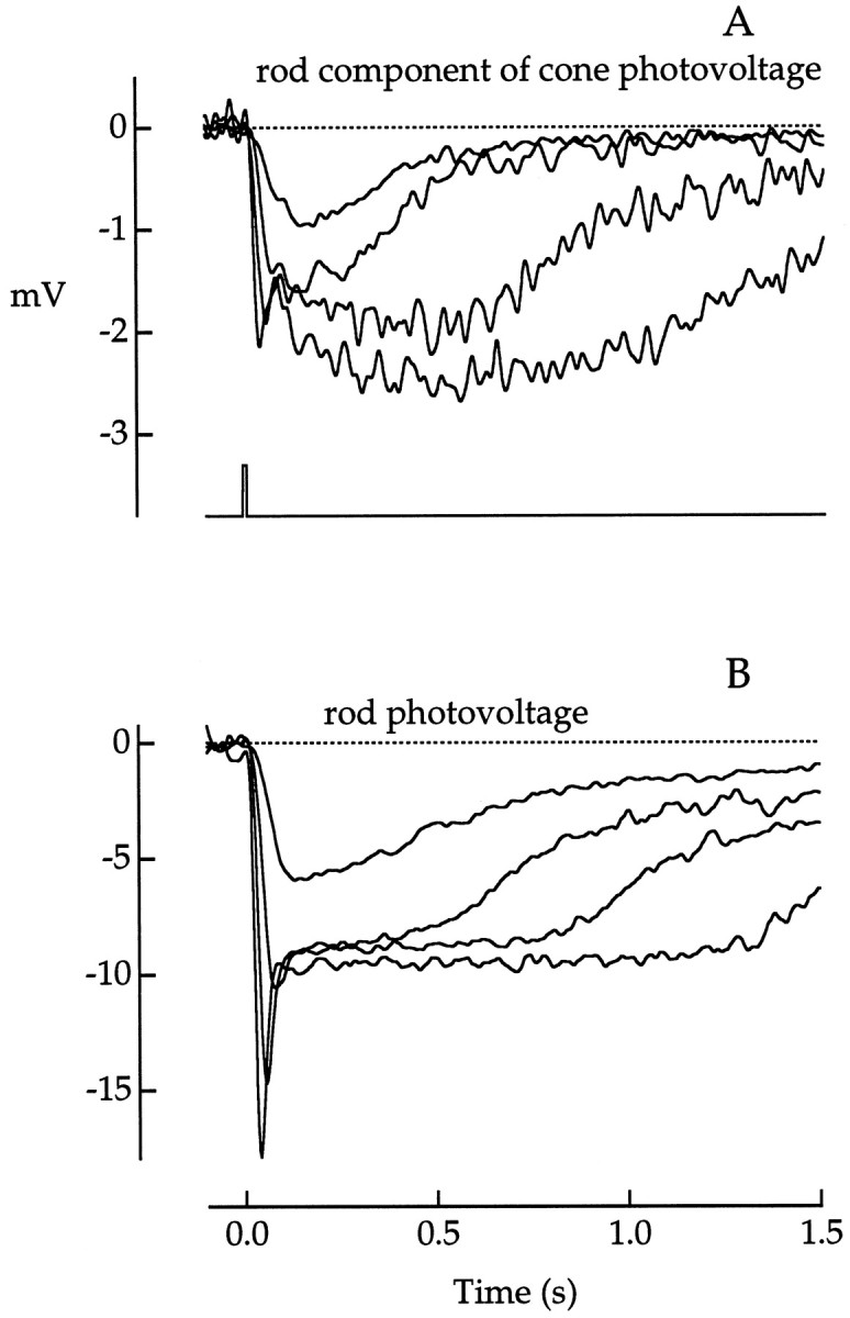 Fig. 8.