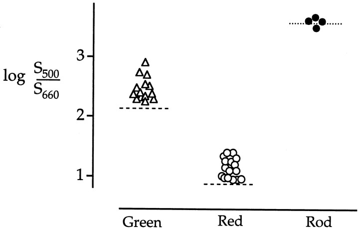 Fig. 5.