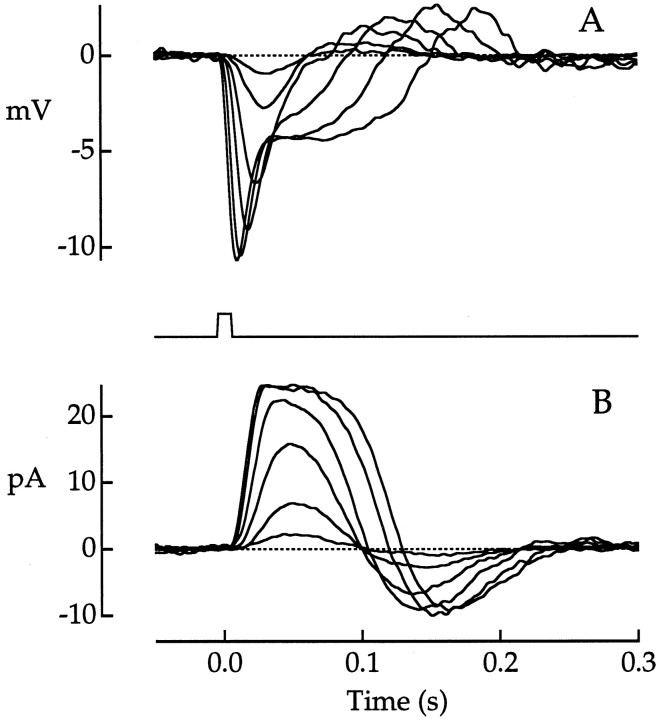 Fig. 1.