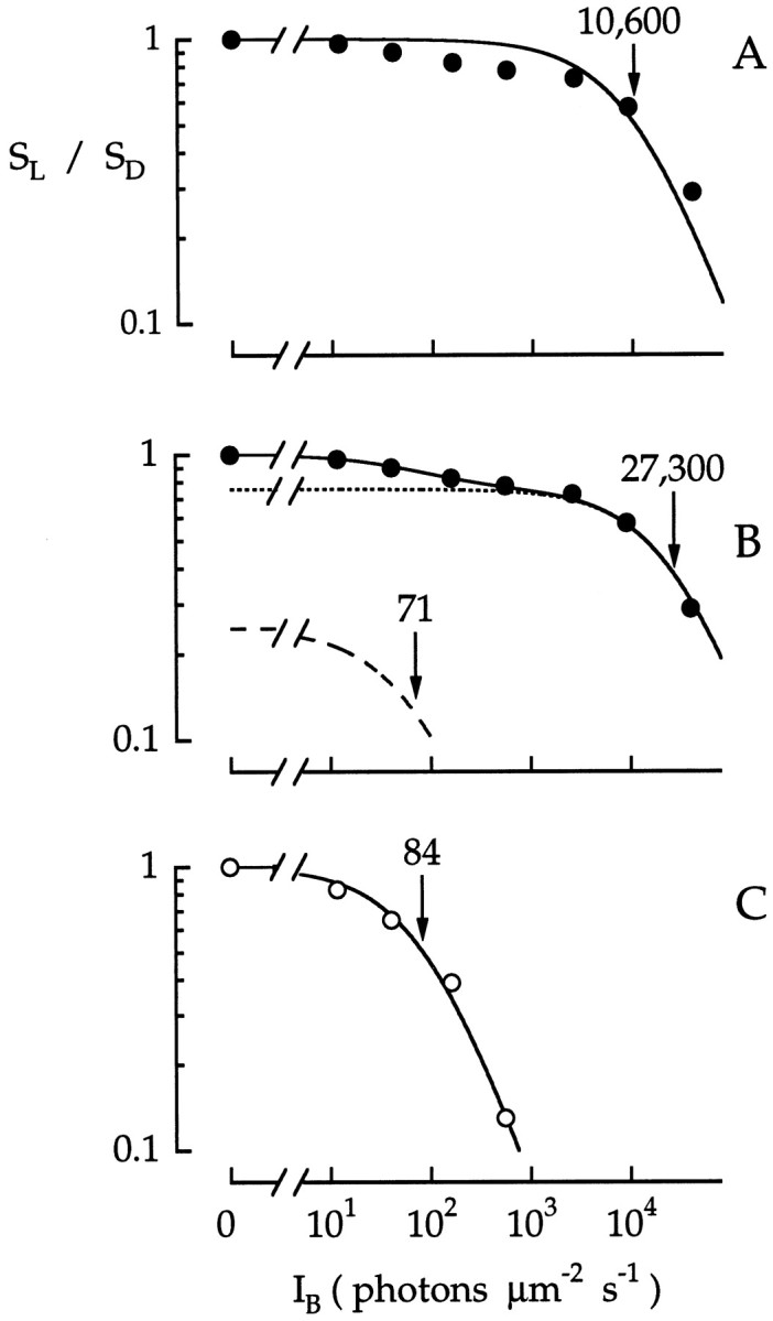 Fig. 13.