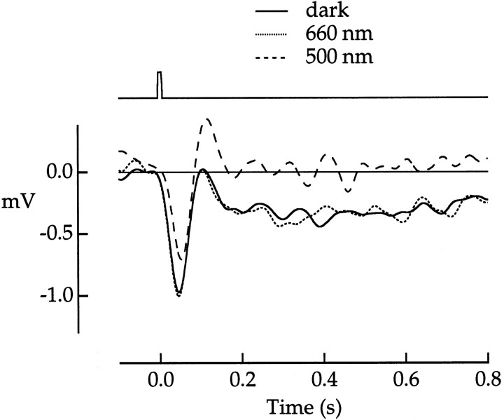 Fig. 10.