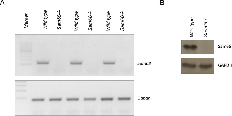 Figure S1.