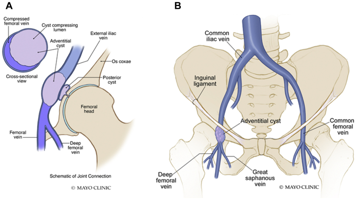 Fig 2
