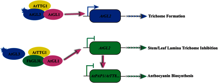 Figure 7