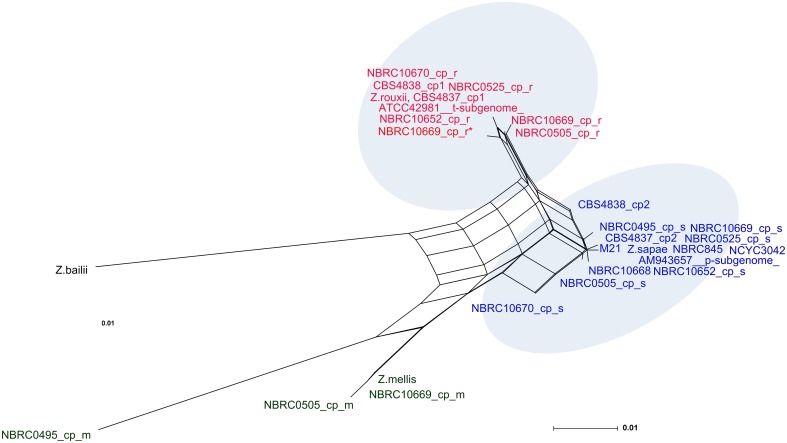 Fig 5