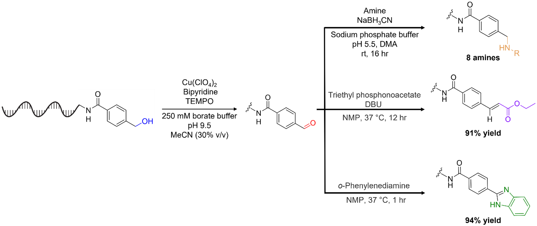 Scheme 1.