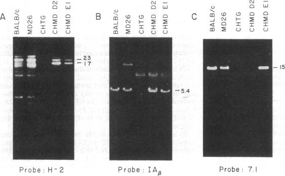 graphic file with name pnas00616-0273-a.jpg