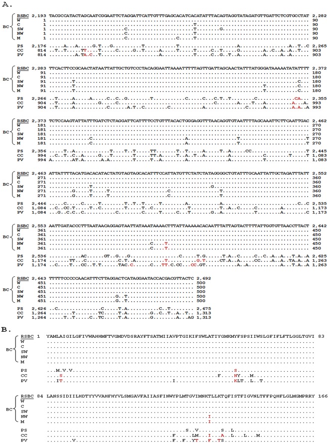 Fig 6